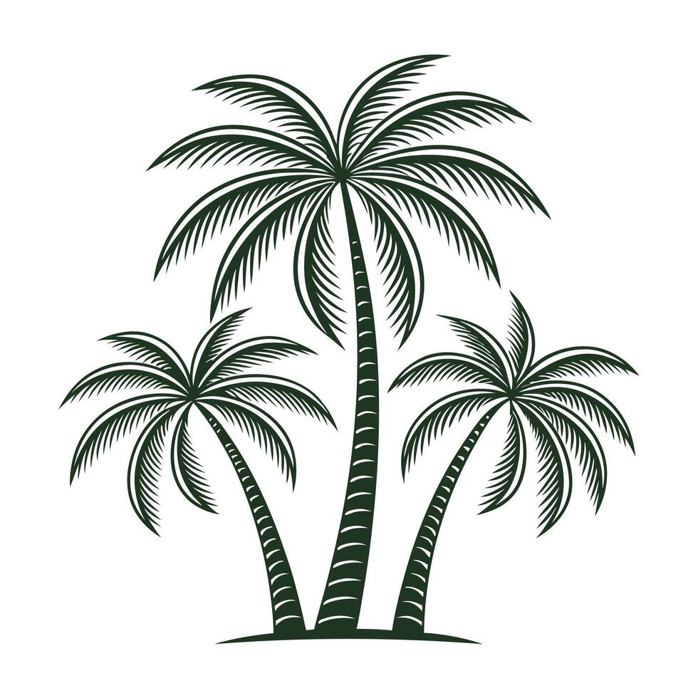 CoconutTree with Leaves Illustration vector