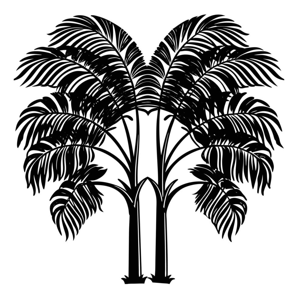 Coconut Palm Tree with Tropical Leaves Illustration vector