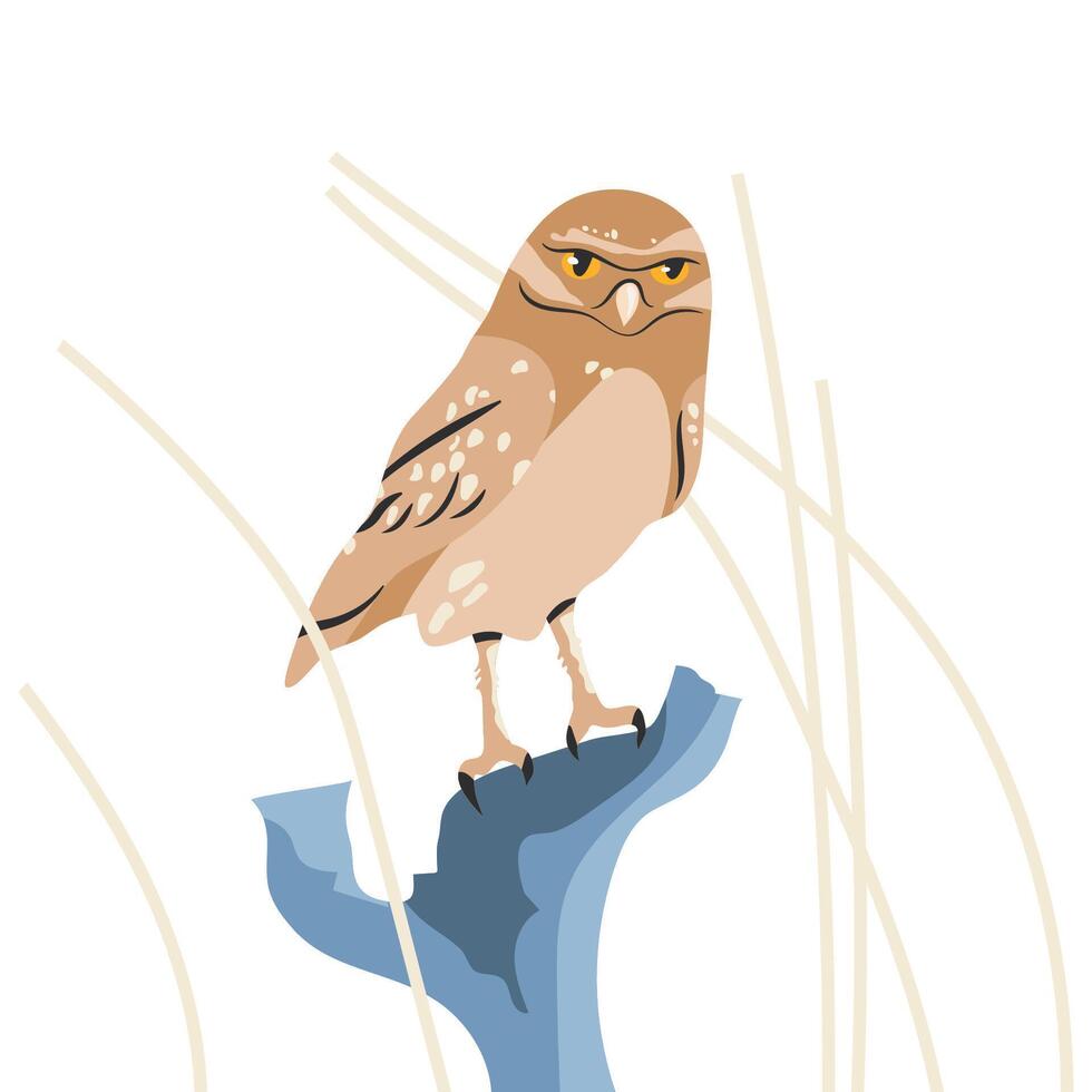 A Eurasian pygmy owl sits on a dry branch against a white background. illustration. vector