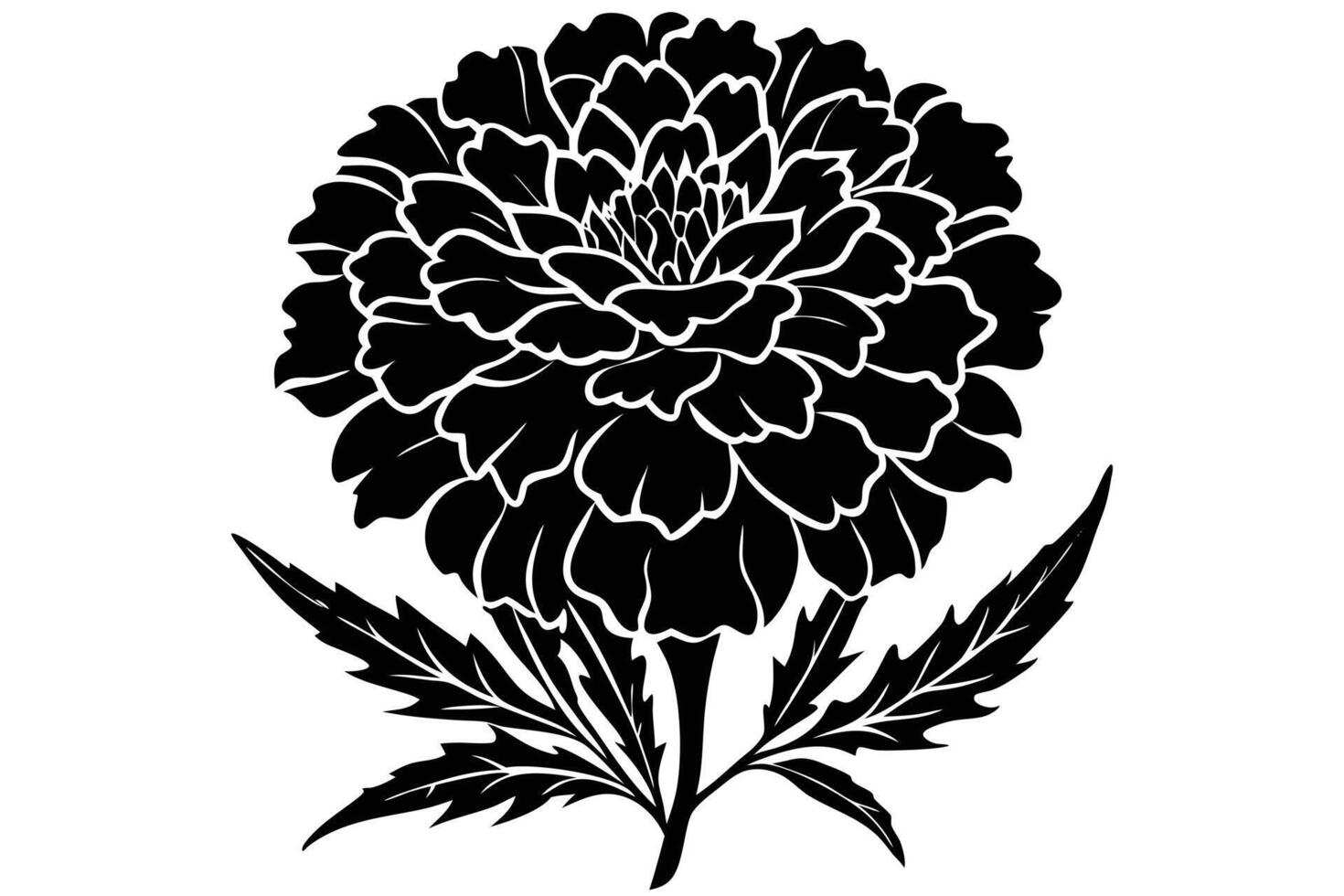 Elegant black and white silhouette of a marigold flower. vector