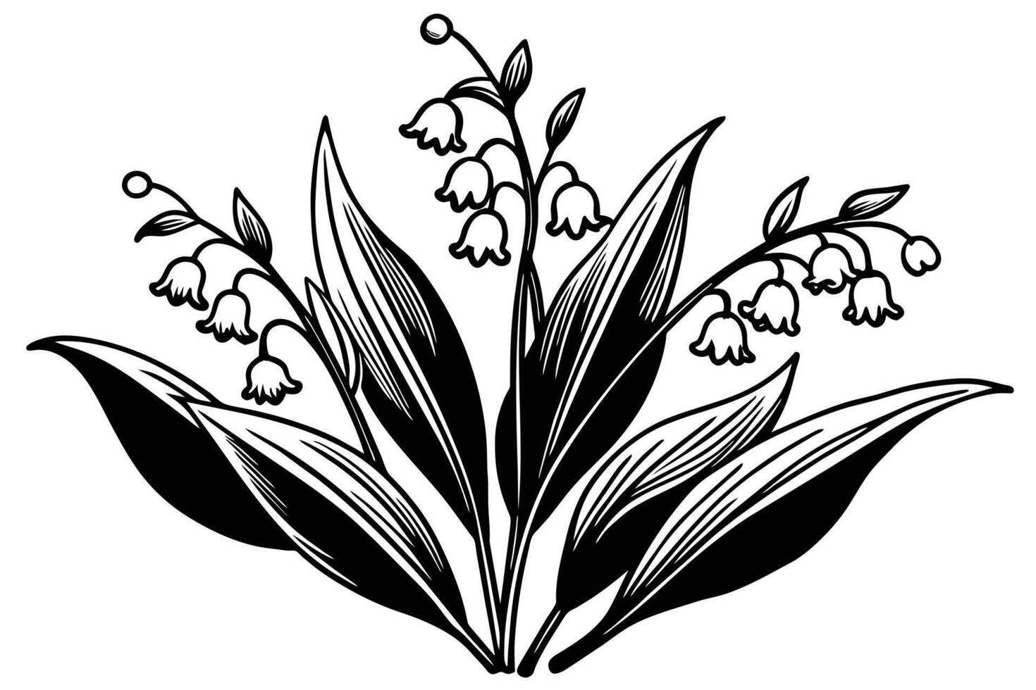 Elegant black and white illustration of a lily of the valley bouquet. vector