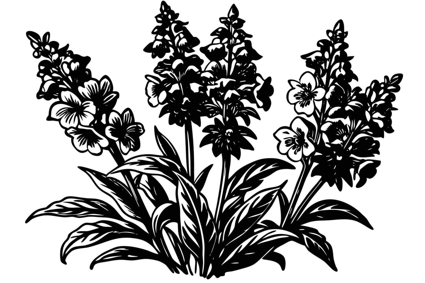 A black and White Illustration of Foxglove Flowers vector