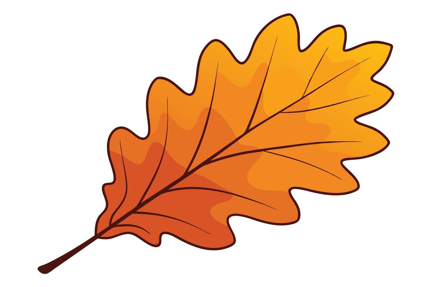 A vibrant autumnal oak leaf illustration. vector