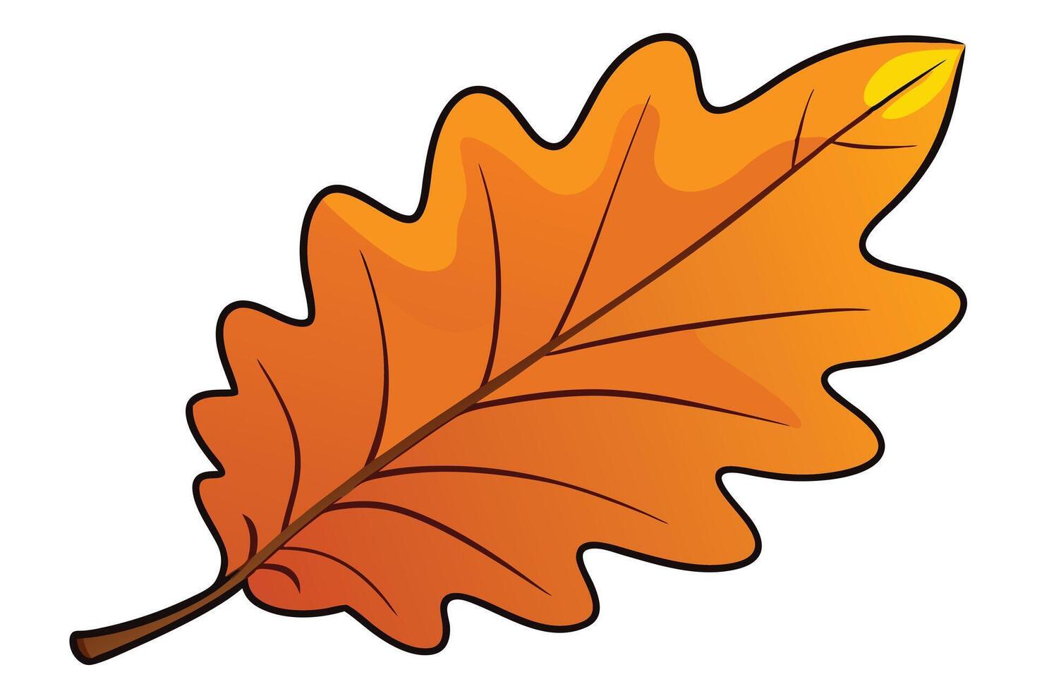 Vibrant autumnal oak leaf illustration. vector