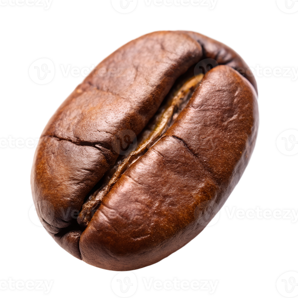 Closeup of a Single Roasted Coffee Bean Showing Rich Brown Color and Texture Details isolated on white or transparent background png