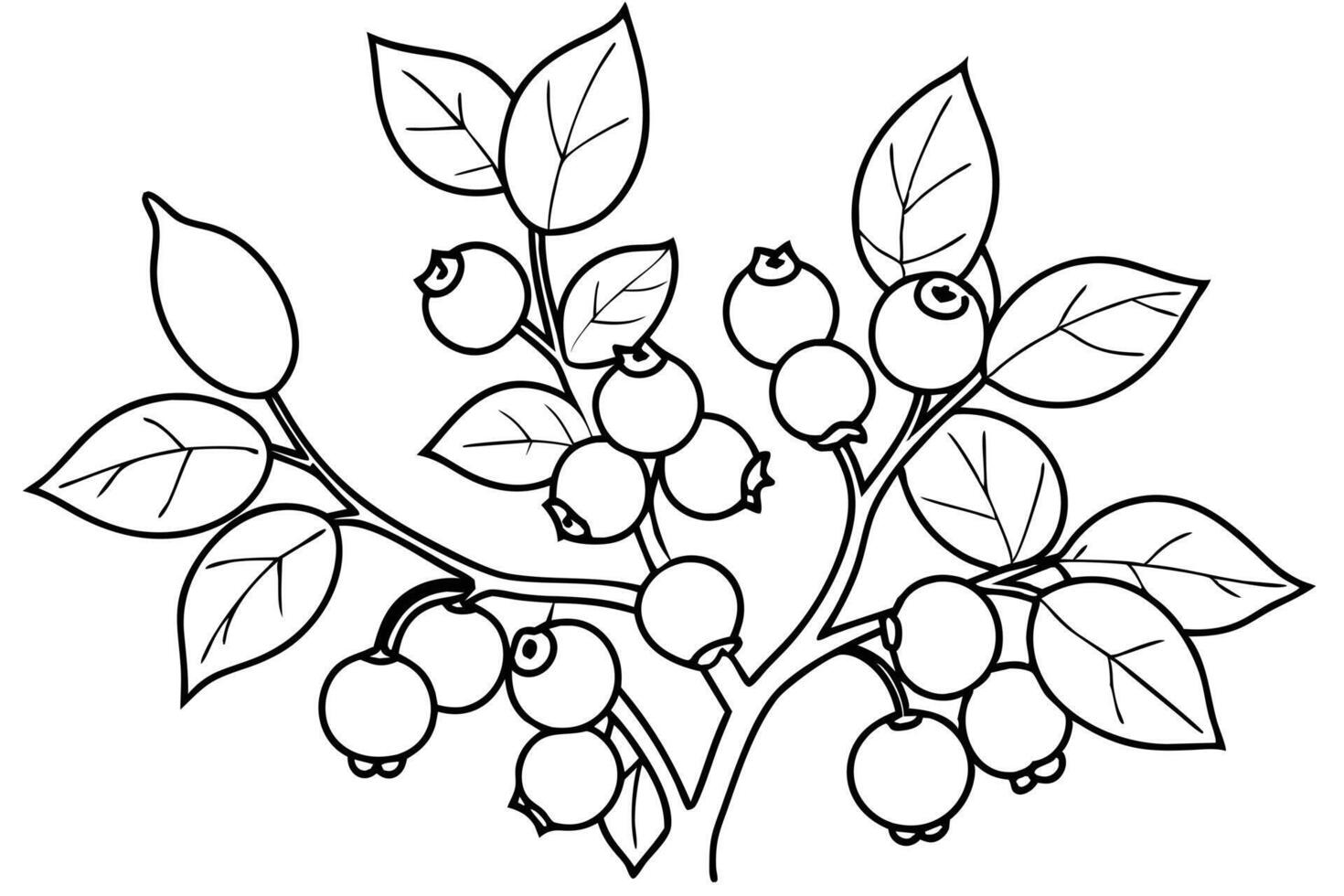 Black and White Line Drawing of a Blueberry Branch with Berries and Leaves vector