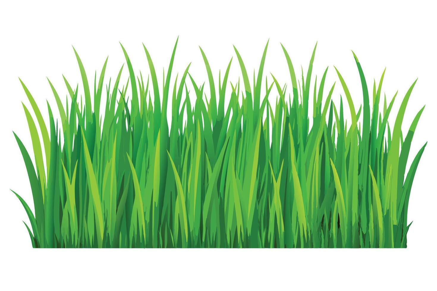 A green grass border graphic vector
