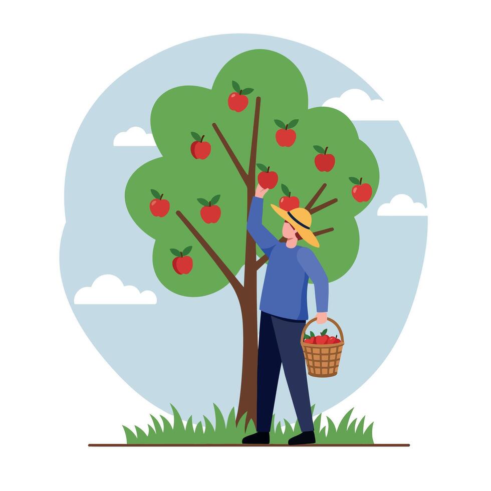A person reaching for ripe red apples on a green tree in a flat, cheerful illustration showcasing harvest season vector