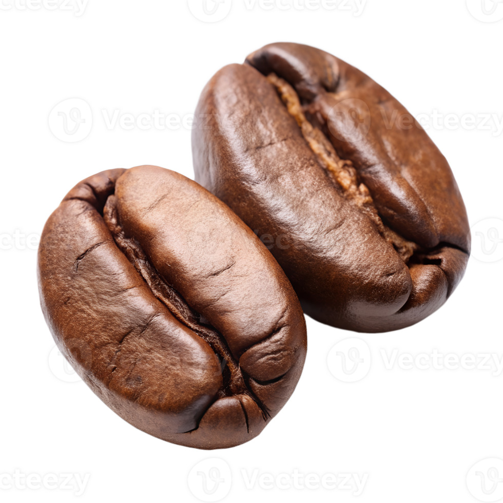 Two Roasted Coffee Beans Close Up Macro Photography isolated on white or transparent background png