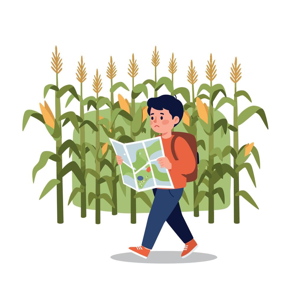 A boy exploring a cornfield while holding a map, depicted in a flat, colorful design style, showcasing playful curiosity in illustration vector