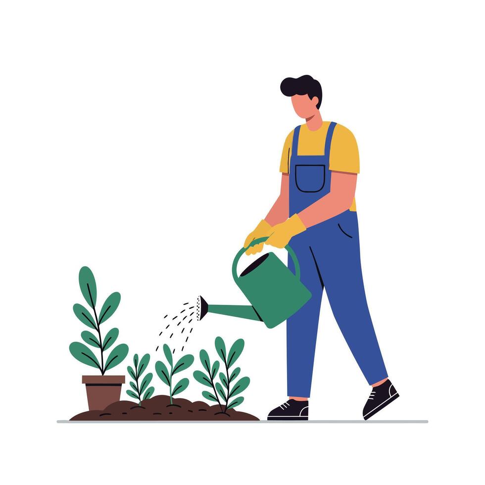 A man watering young green plants in a garden using a watering can in a flat illustration vector