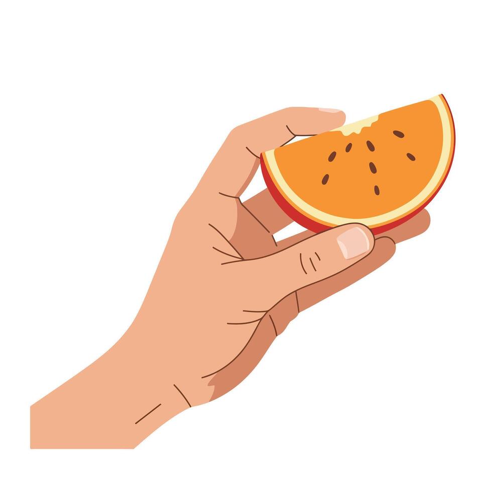 Hand holding a vibrant orange slice in a flat design style, showcasing fresh fruit with detailed texture, perfect for food-related art vector