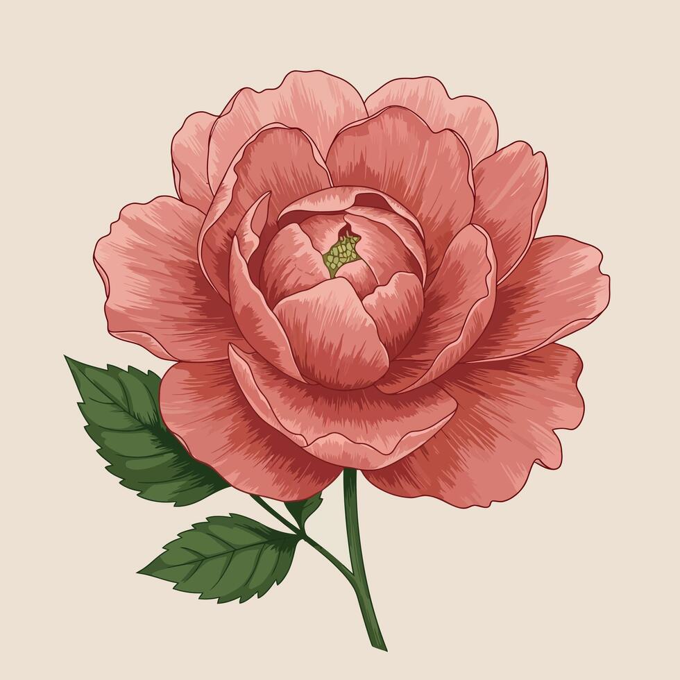 A detailed illustration of a blooming peach rose with vibrant green leaves in a minimalistic style, showcasing the beauty of nature in art vector