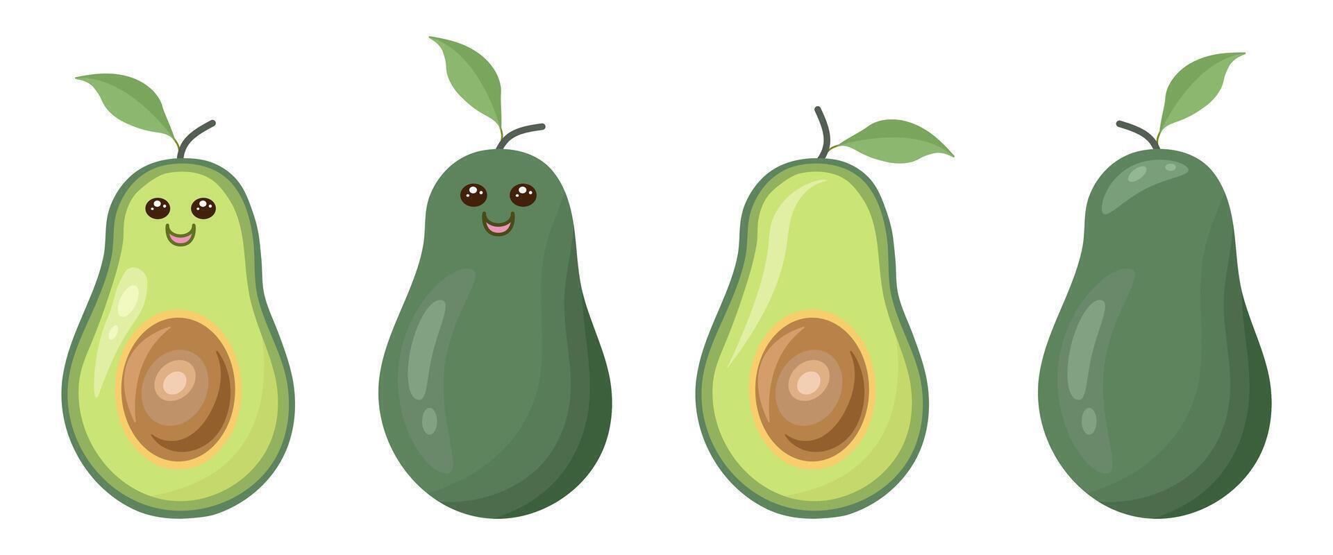 Set of avocado on white background vector