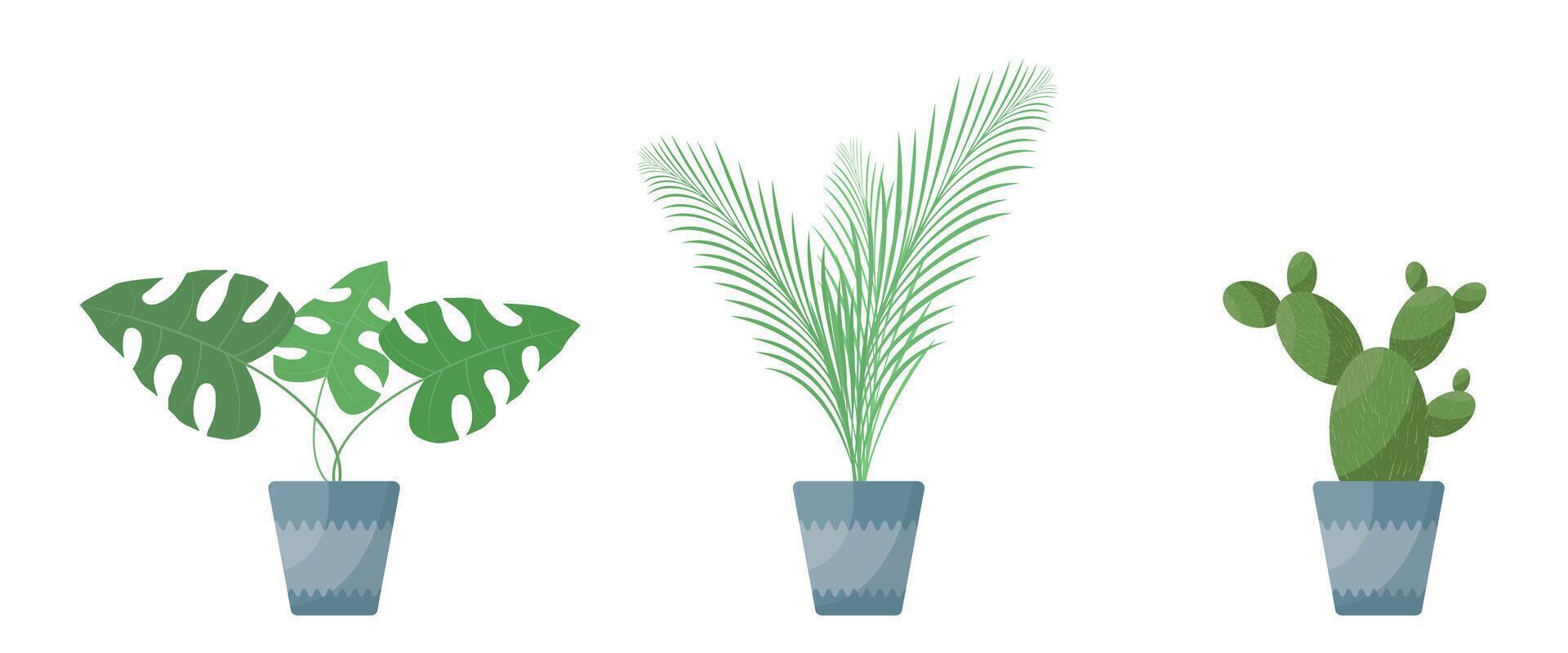 Set of potted flowers on white background vector