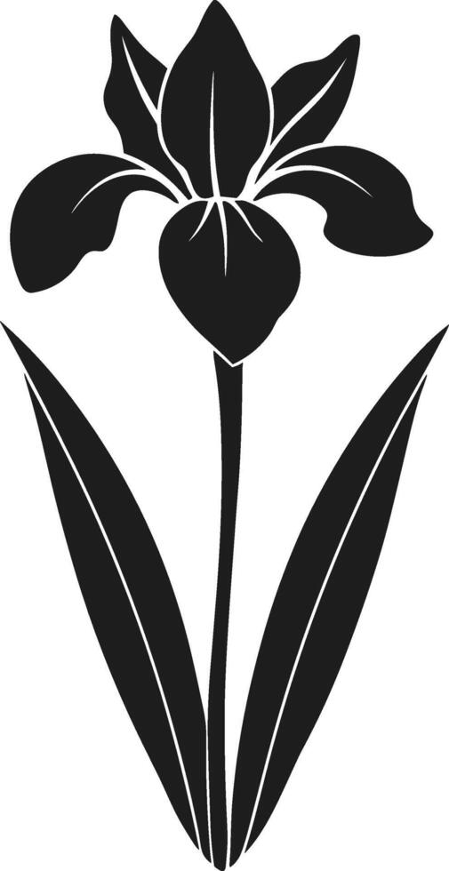 Elegant Iris Flower Silhouette - Minimalist Spring Botanical Illustration vector