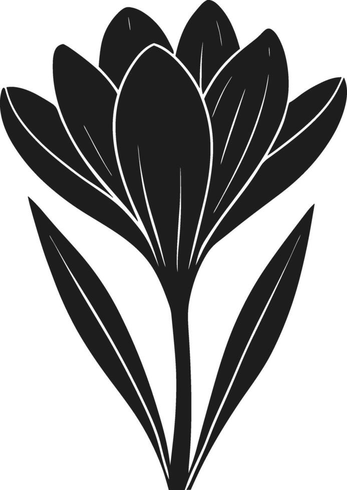 Crocus Flower Silhouette - Spring Botanical Illustration vector