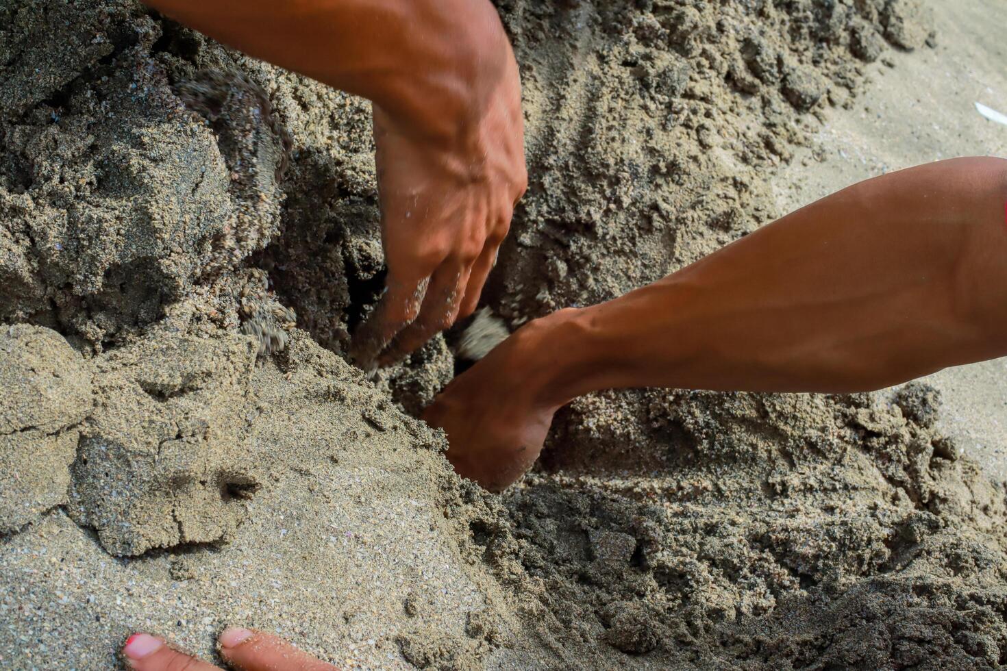 Human Hands uncovering something buried in the Sand, on a Bright day photo