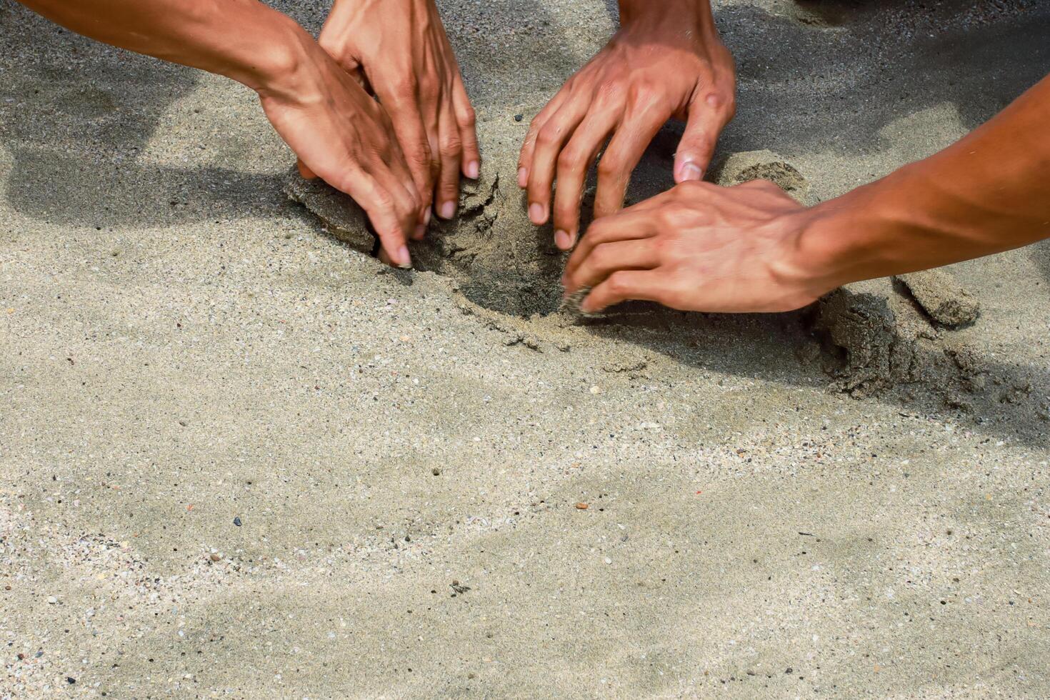 Hands Collaborating on Sand Design at the Beach for Creative Building photo