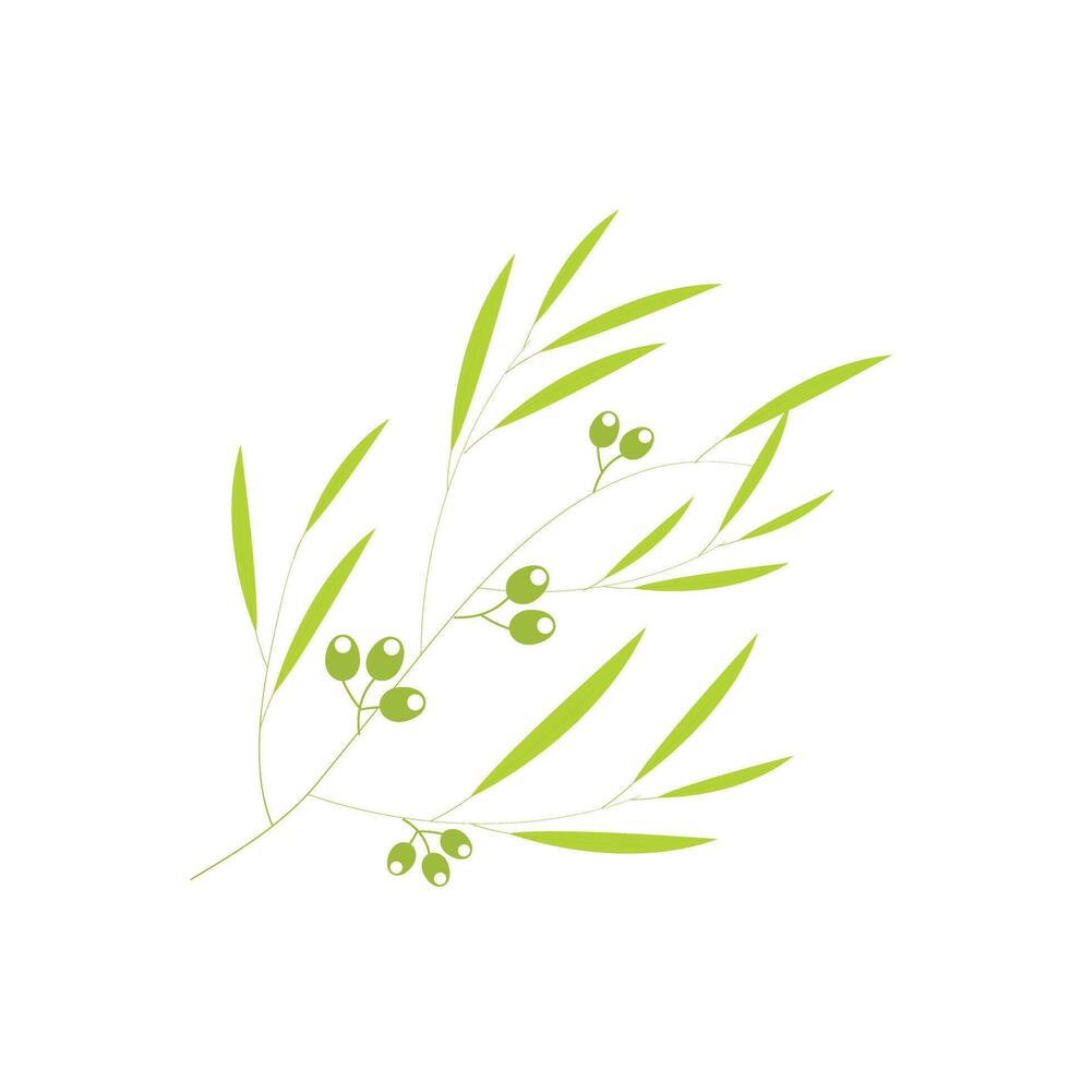 Eucalyptus set. Collection icon eucalyptus. vector