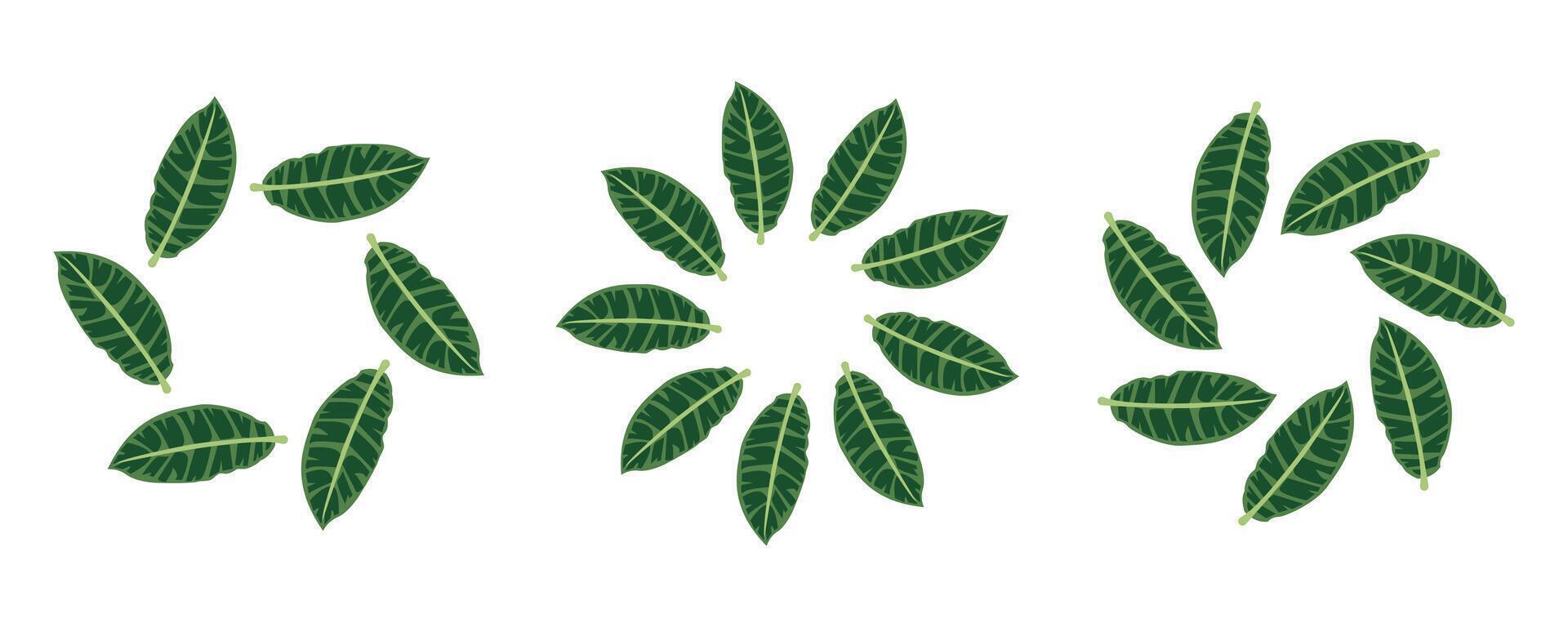 Simple tropical leaves circle frame. Bright illustration for card, invitation card for wedding, birthday and other holiday flat vector