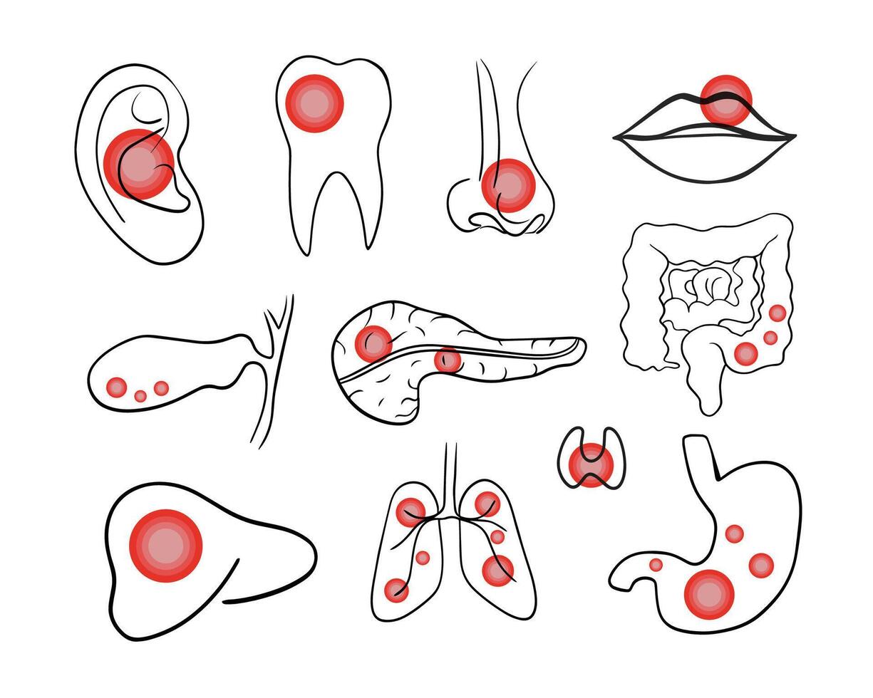 Illustration of a set of human organs. Contour drawing of pain concentration in different internal organs... vector