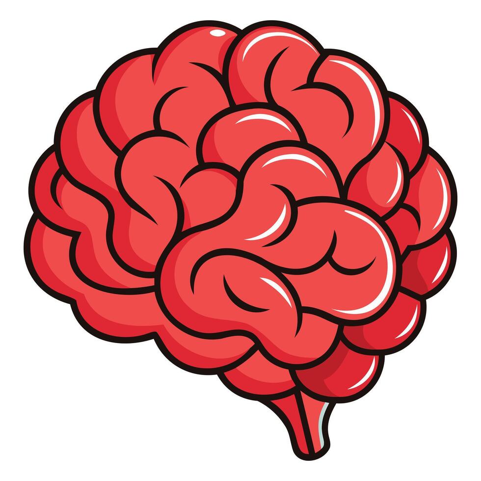 Detailed Brain Anatomy Graphic Artwork vector