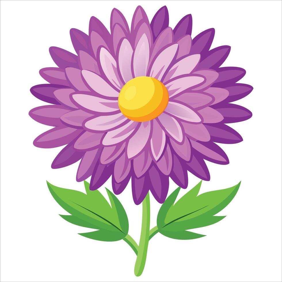Aster Blossom Illustration vector