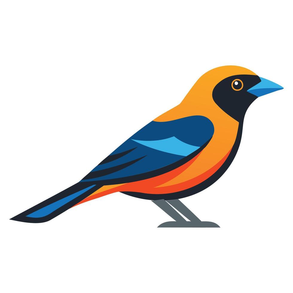 Beautiful Tanager Bird Graphic Design vector