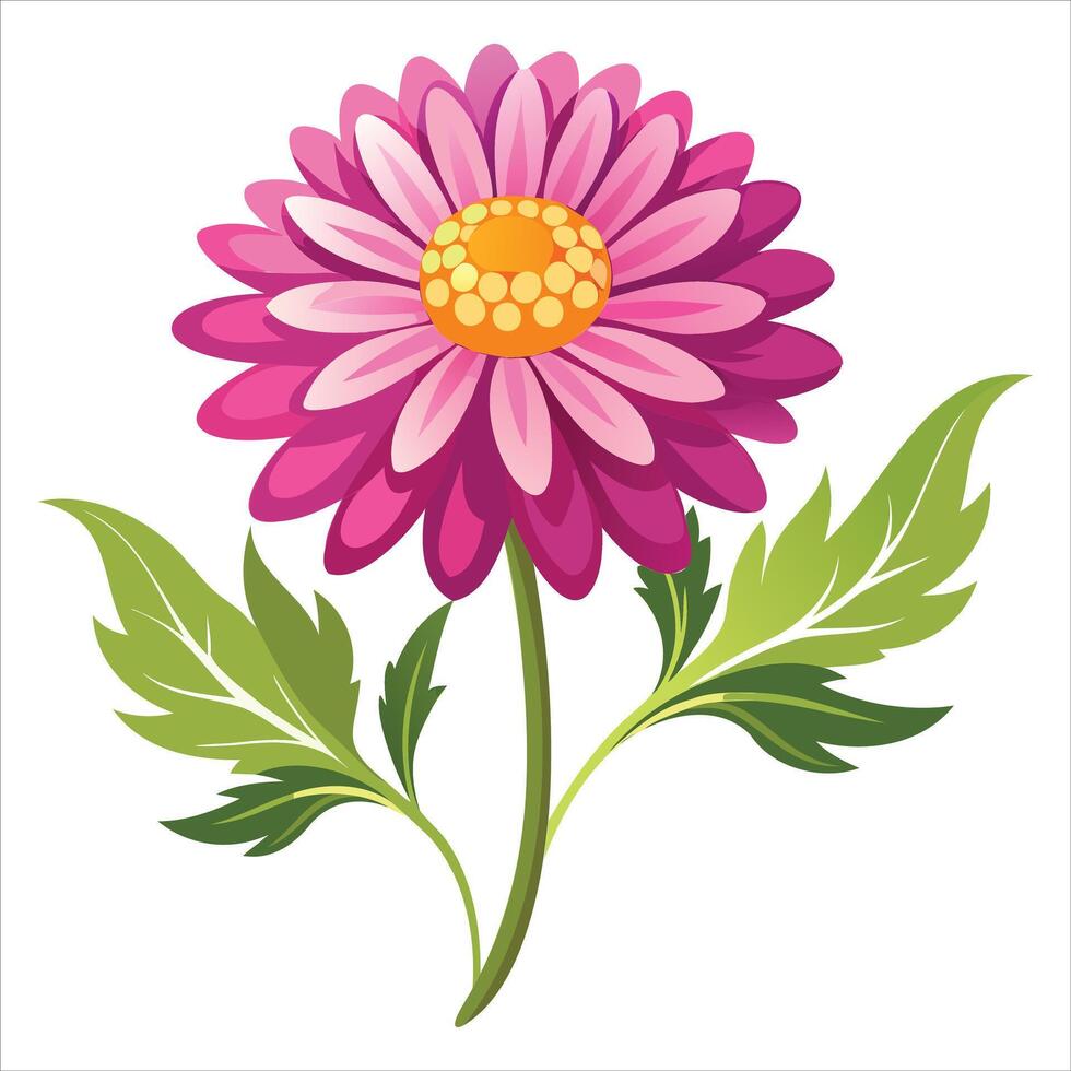Beautiful Aster Flower Graphic Artwork vector