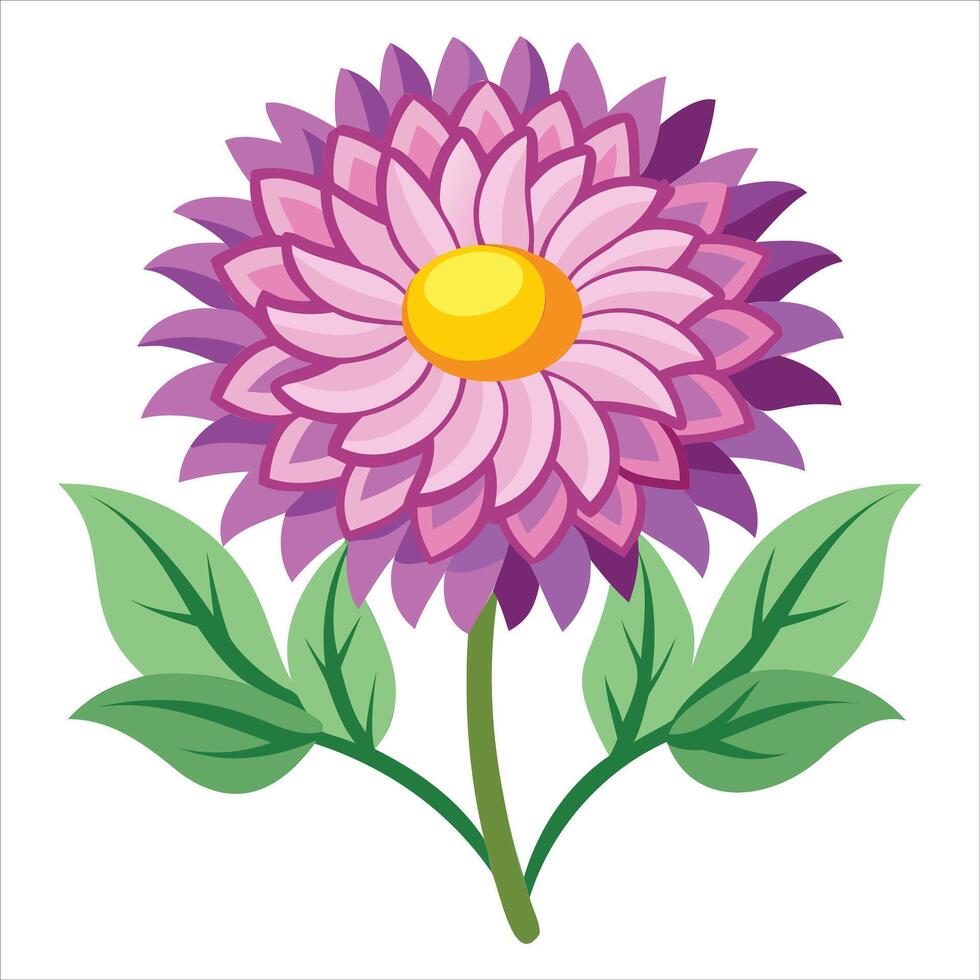 Elegant Aster Flower Illustration Design vector