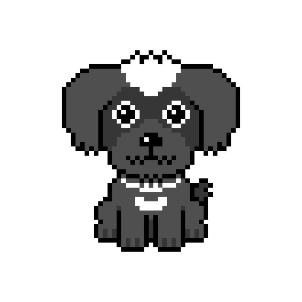 Pixel art cute maltese dog in retro style vector