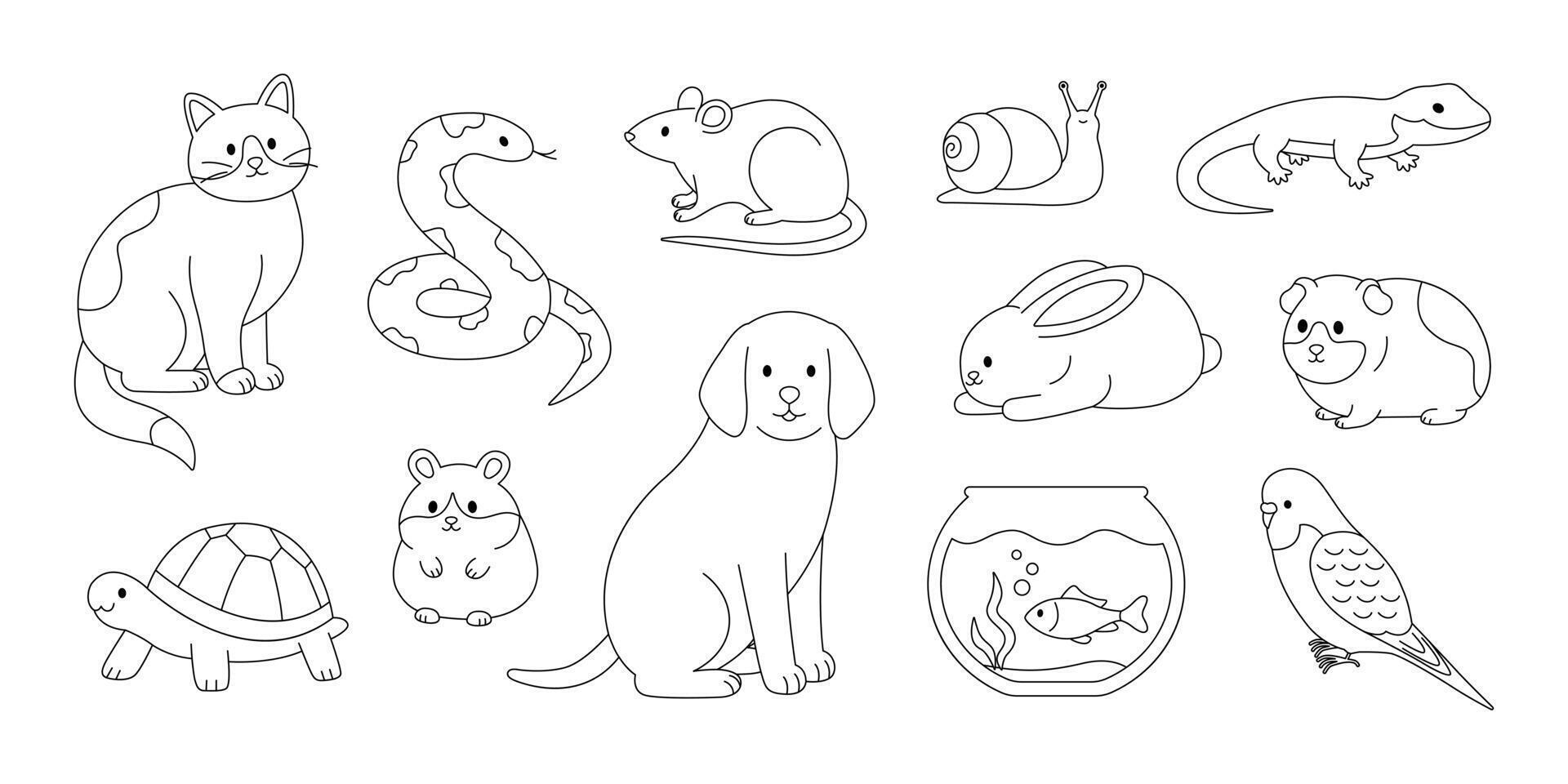 Cute pets coloring page. Outline set with cat, dog, rabbit, guinea pig, hamster, rat, parrot, fish, snake, turtle, lizard and snail. Contour domestic animals collection. Coloring book for print vector