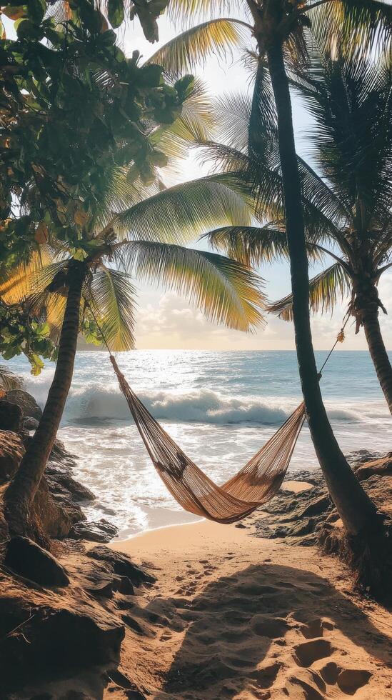 Hammock on beach with palm trees photo