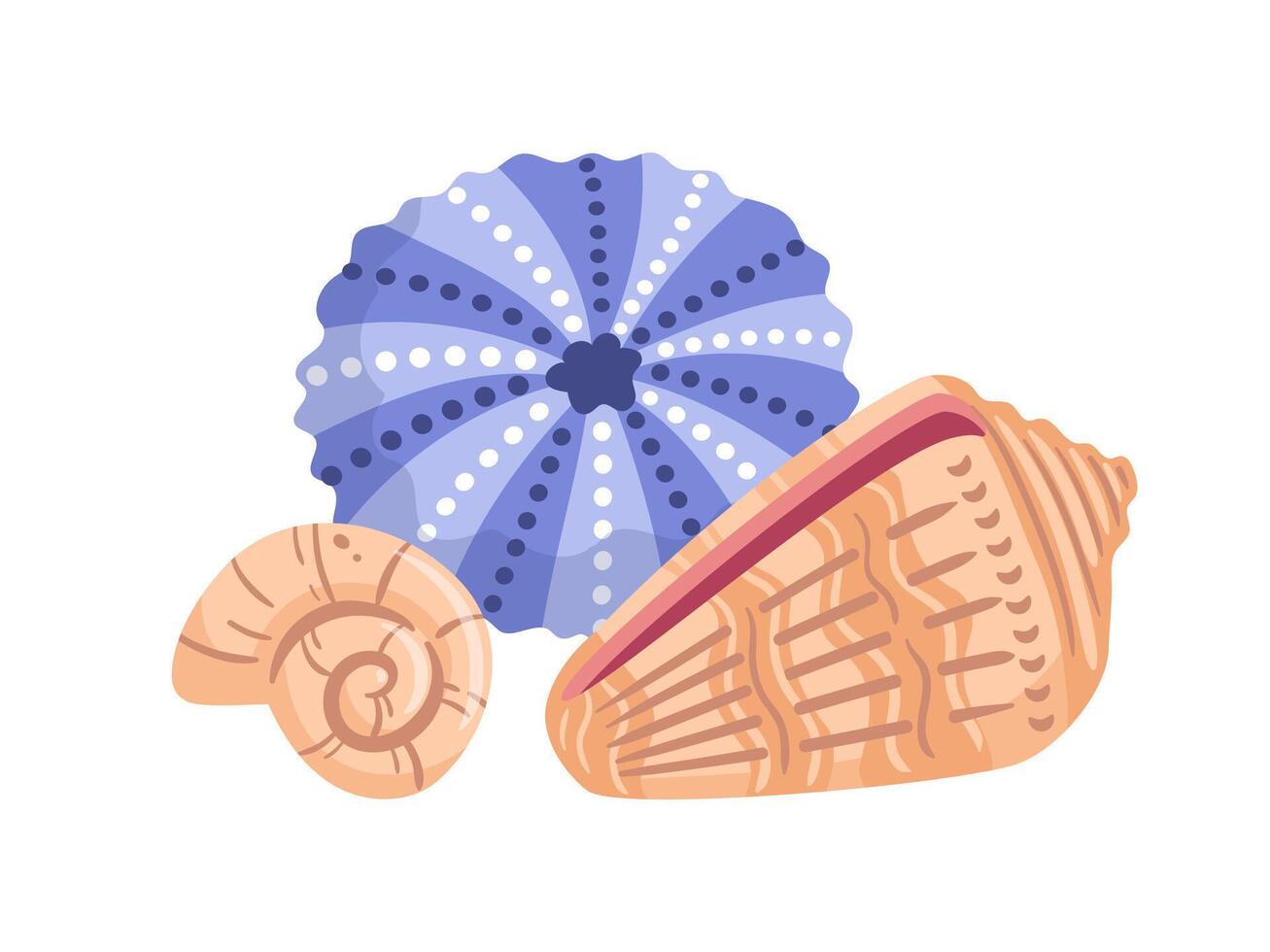 illustration features a detailed sea urchin and a cone snail, showcasing their unique shapes and textures. The design highlights the intricate patterns of their shells vector