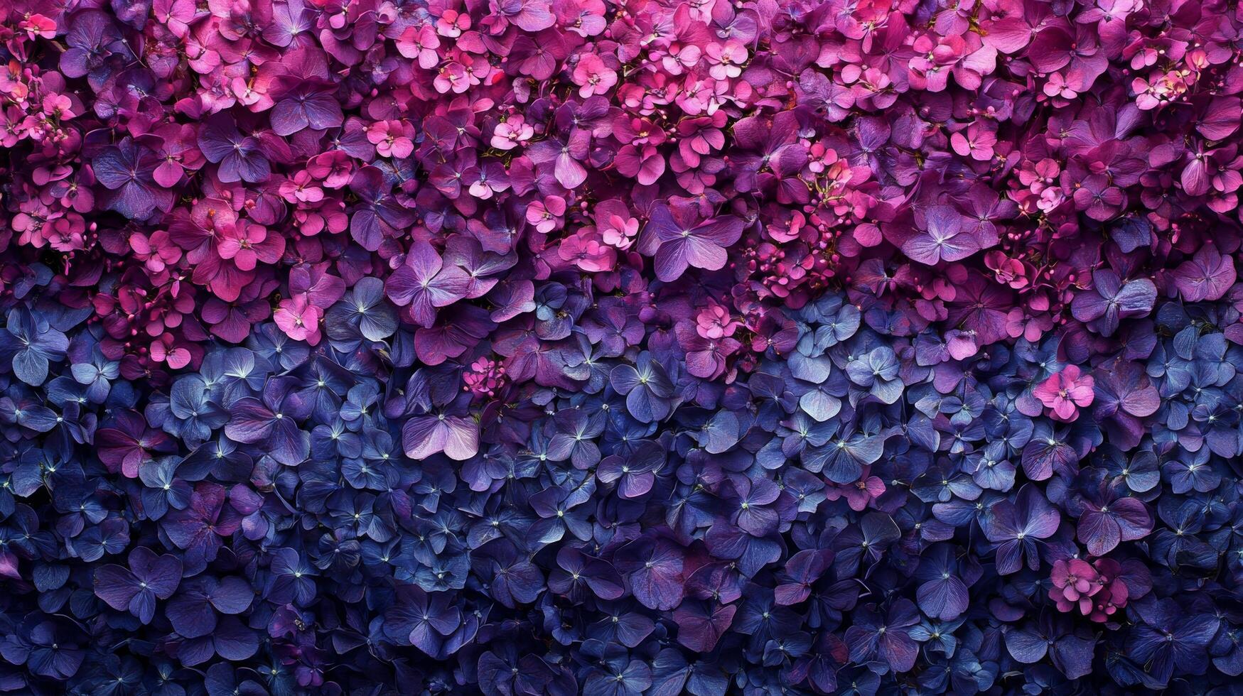A purple and blue wall covered with flowers photo