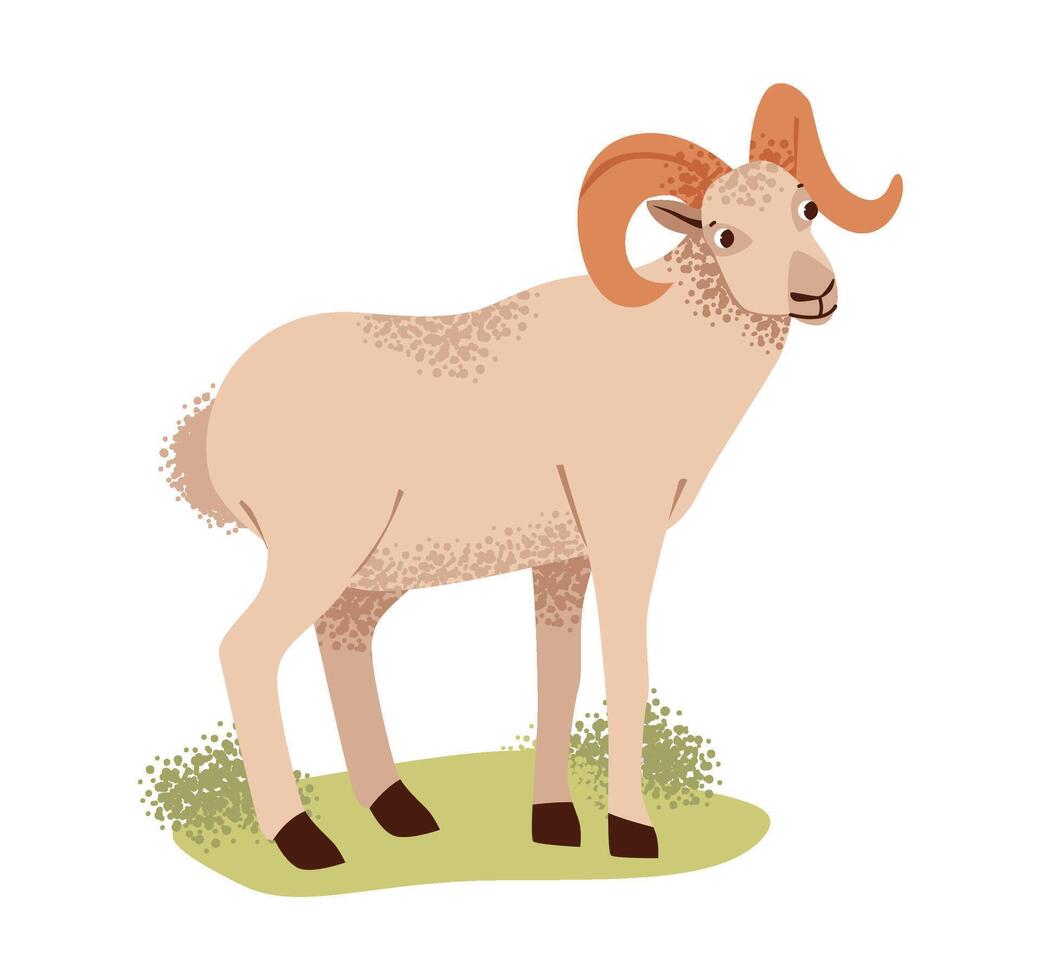 Flat illustration of a playful ram. Cute farm animal. vector