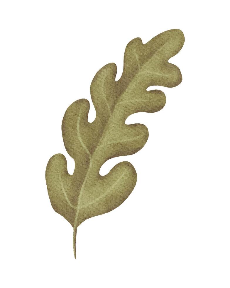 a leaf is shown on a white background vector