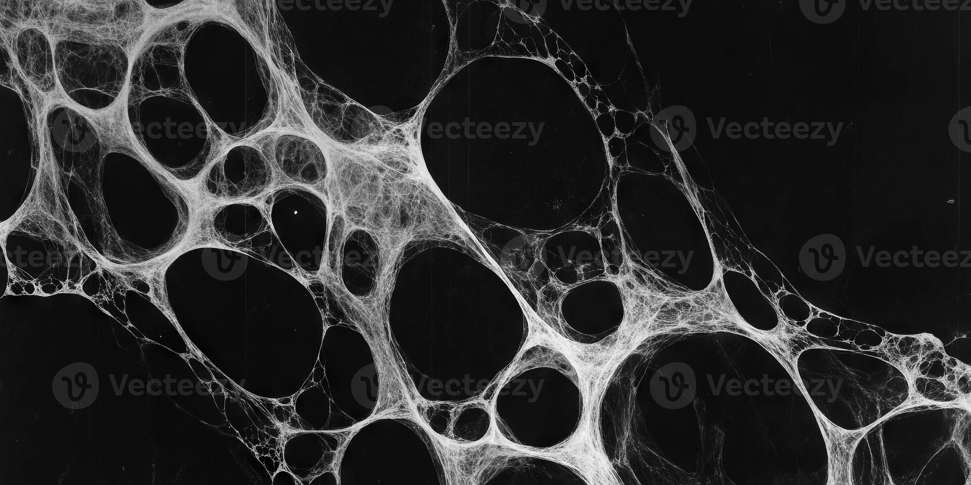 Mottled grayscale texture displaying fine lines against a solid black background photo