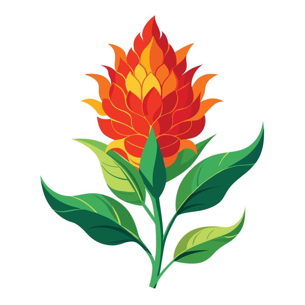 Beautiful Cockscomb Plant with Unique Flowers and Leaves vector