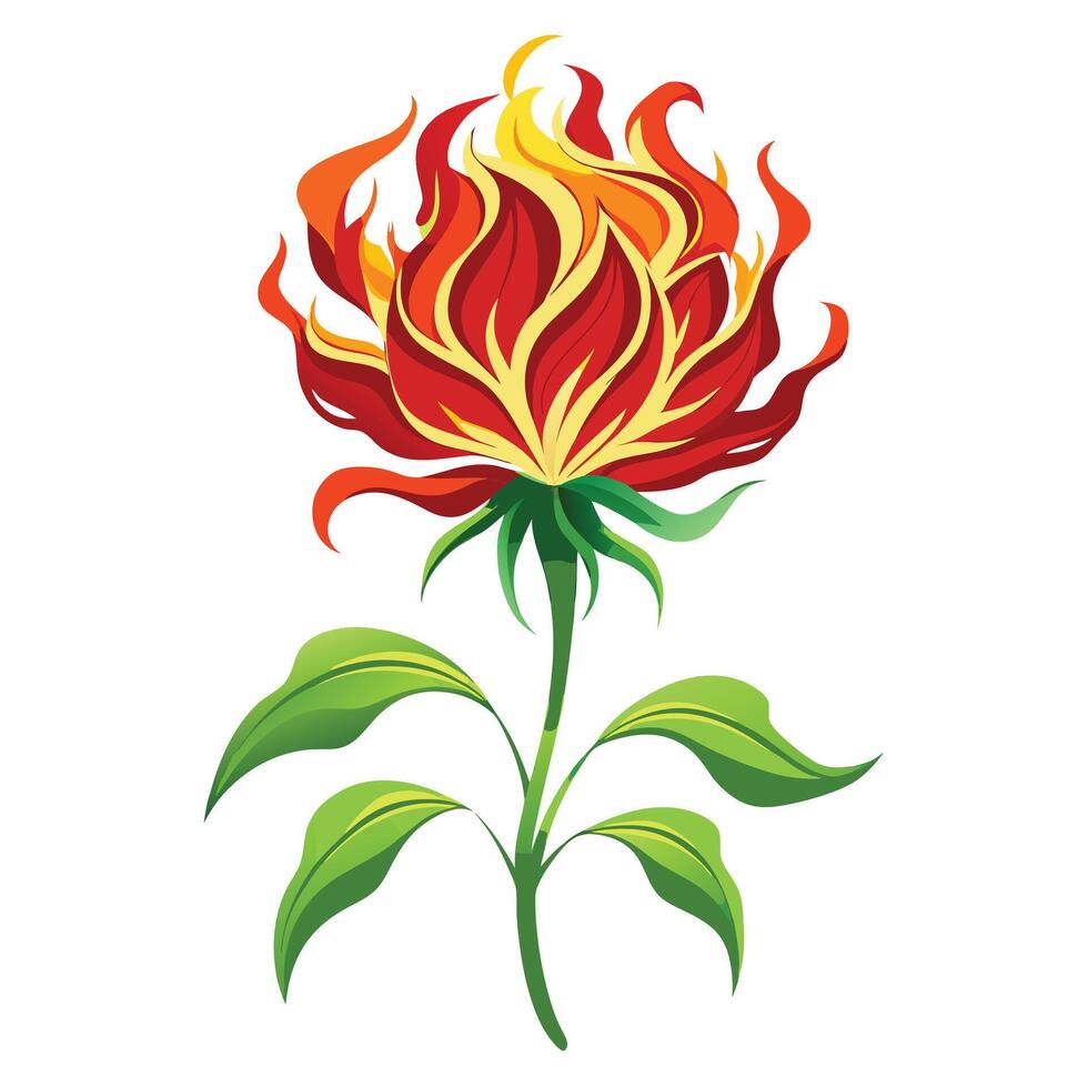 Vibrant Flame Lily with Brightly Colored Flowers and Leaves vector