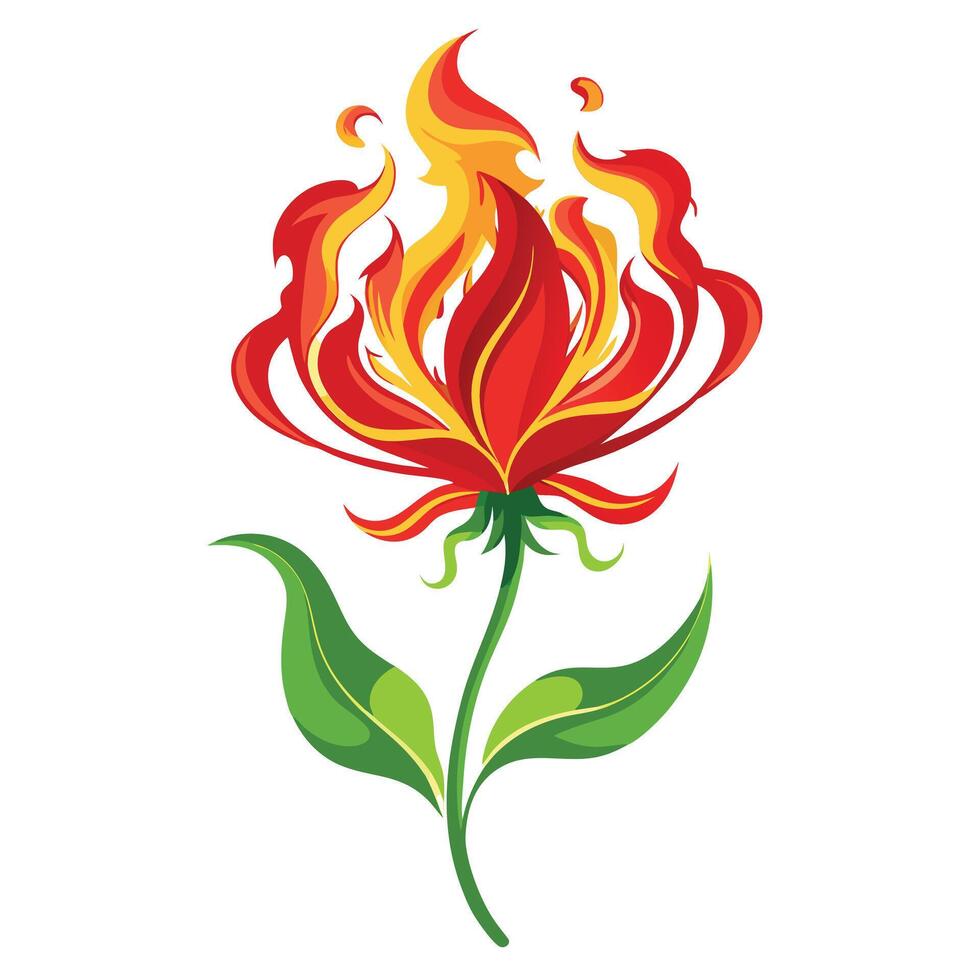 Detailed Illustration of a Flame Lily with Fiery Flowers and Leaves vector