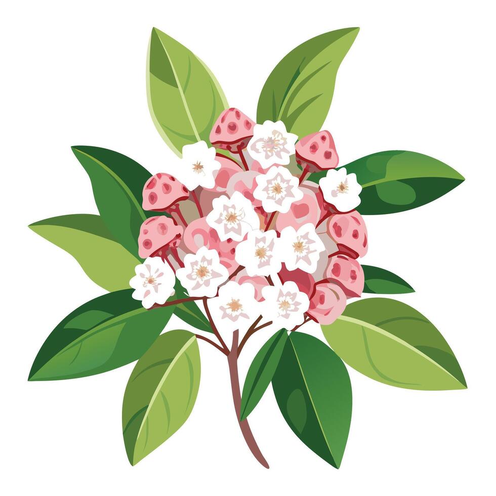 Vibrant Mountain Laurel with Brightly Colored Flowers and Leaves vector
