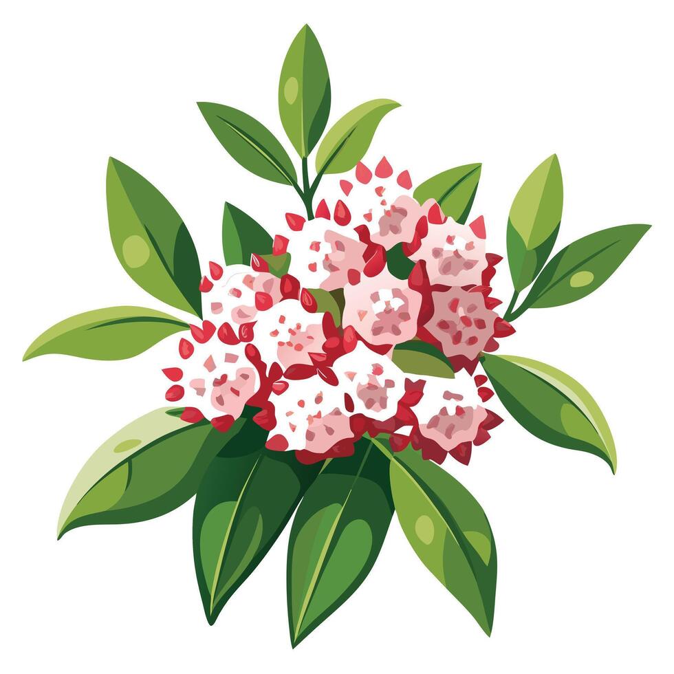 Intricate Details of a Mountain Laurel in a Natural Setting vector