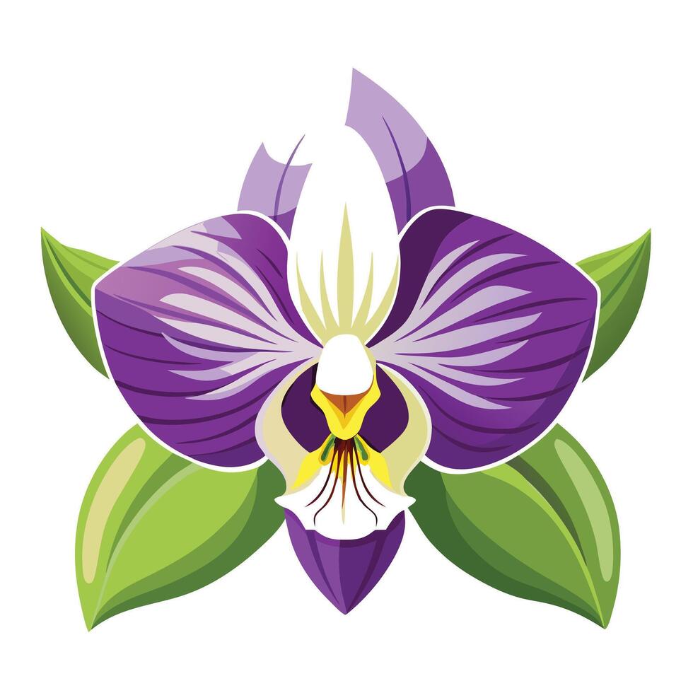 Vibrant Orchid Flower with Brightly Colored Blooms and Leaves vector