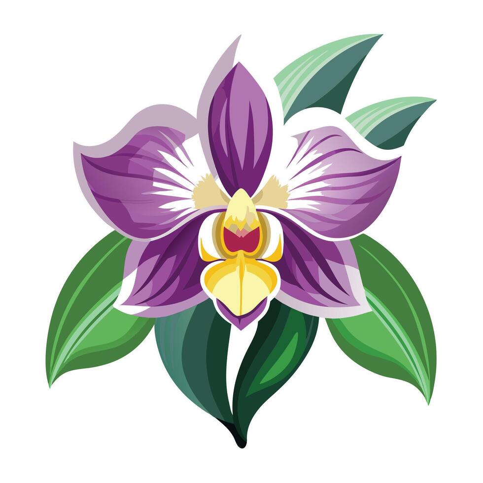 Detailed Illustration of an Orchid Flower with Long Lasting Blooms vector