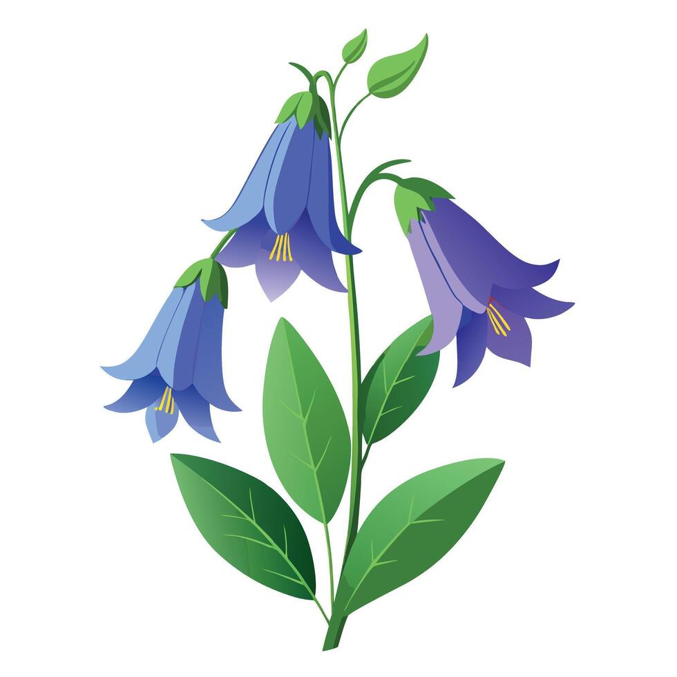 Beautiful Bellflower with Blue Petals and Green Leaves vector