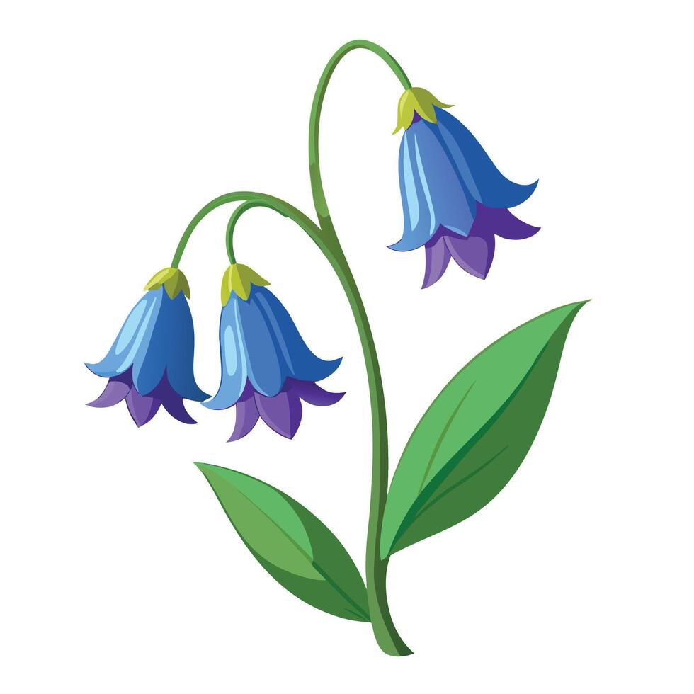 Beautiful Bluebell Flower with Blue Petals and Green Leaves vector