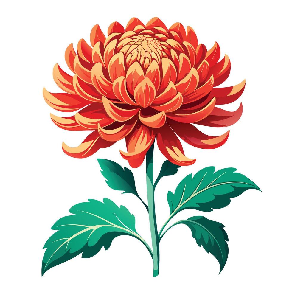 Chrysanthemum Plant with Red Flowers and Long Stems vector