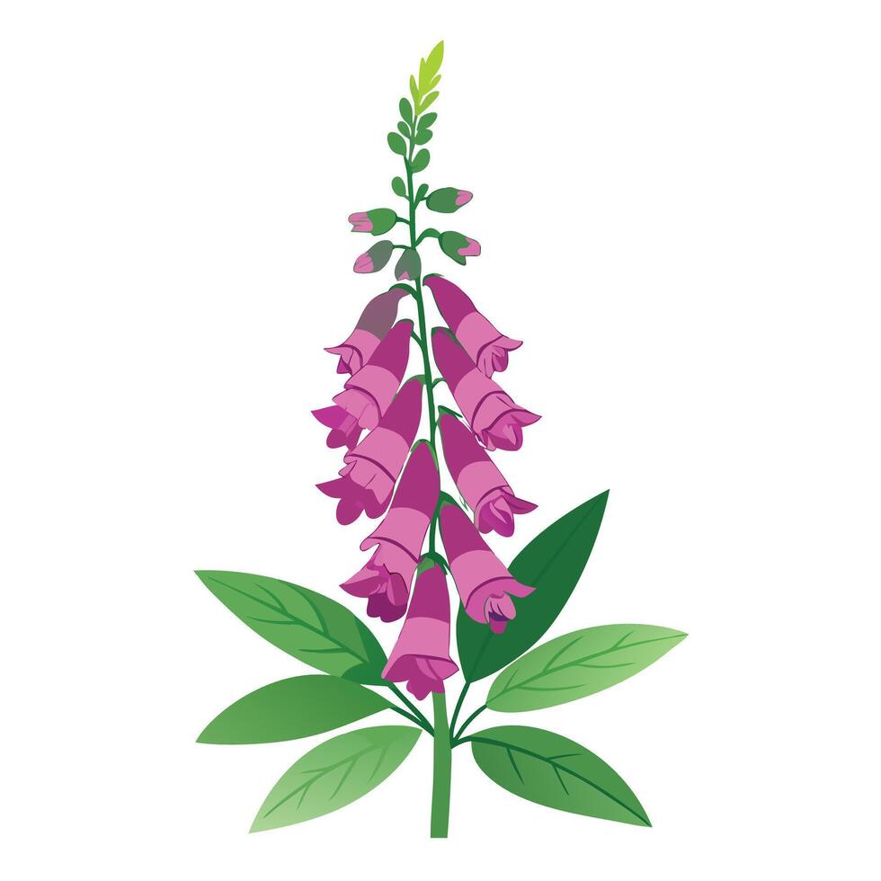 Foxglove Plant with Yellow Flowers and Long Stems vector